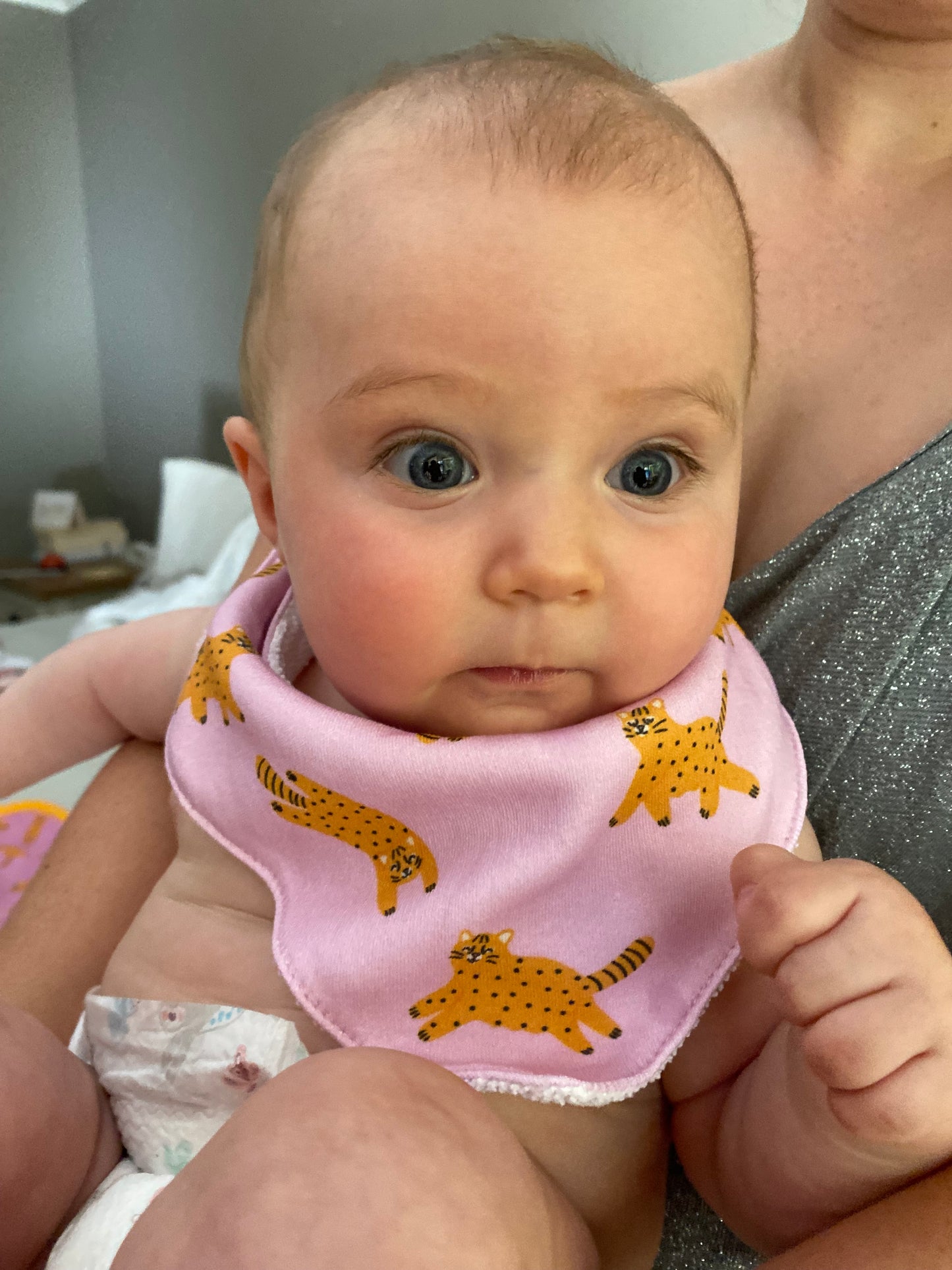 Bandana algodón gato huiña