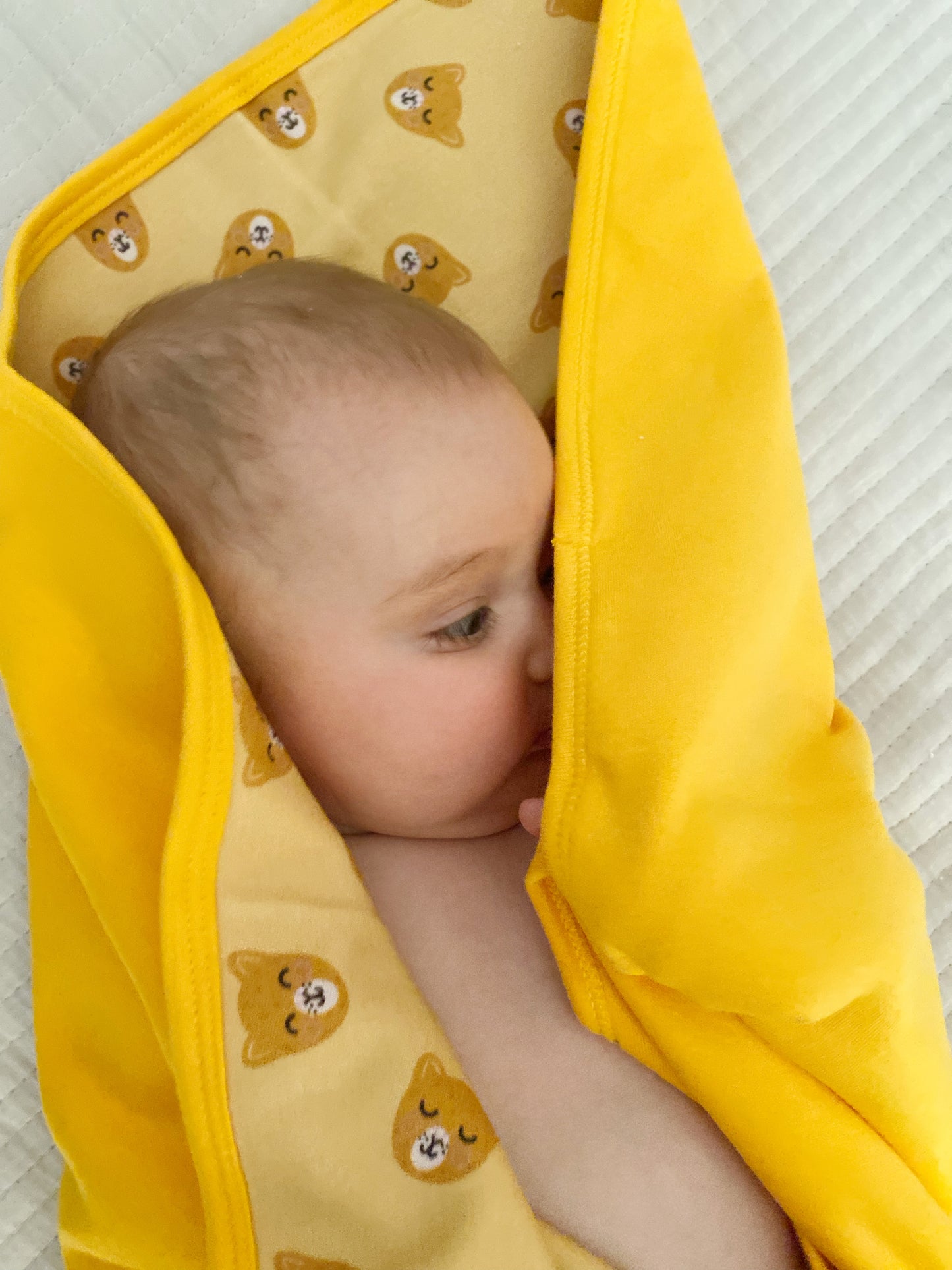 Manta algodón doble puma concolor