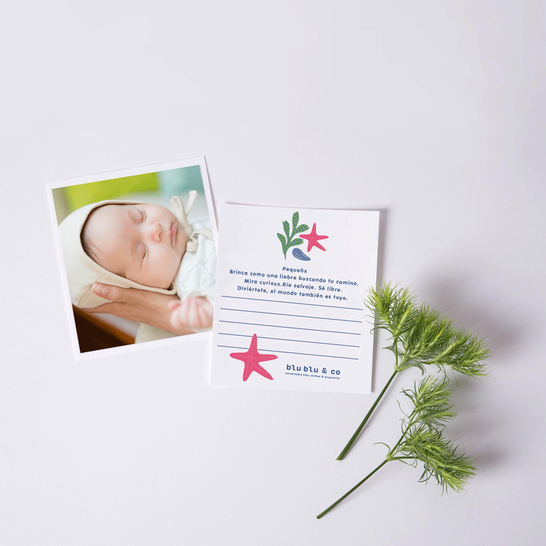 SET BABY SHOWER SHELL