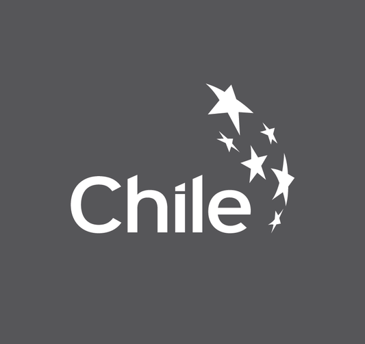 🌟 ¡Blu blu & Company ahora es parte de Marca Chile! 🌱✨