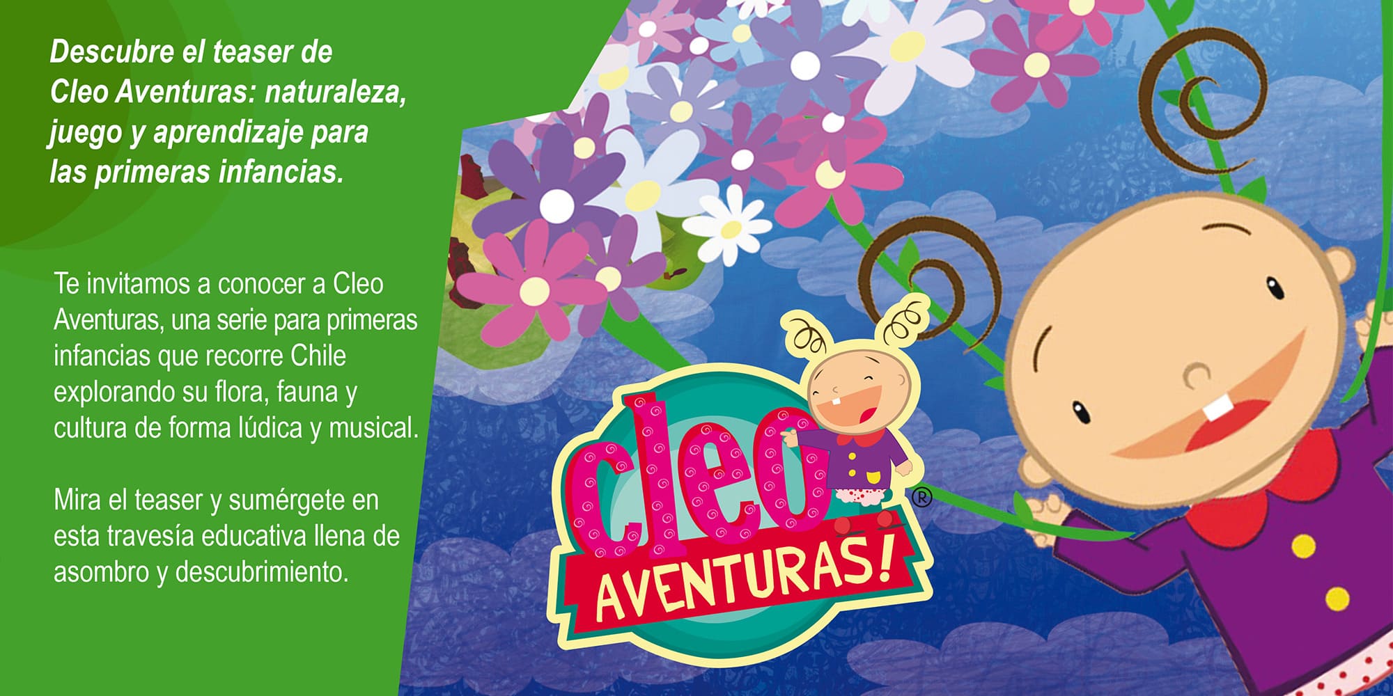 Cargar video: 